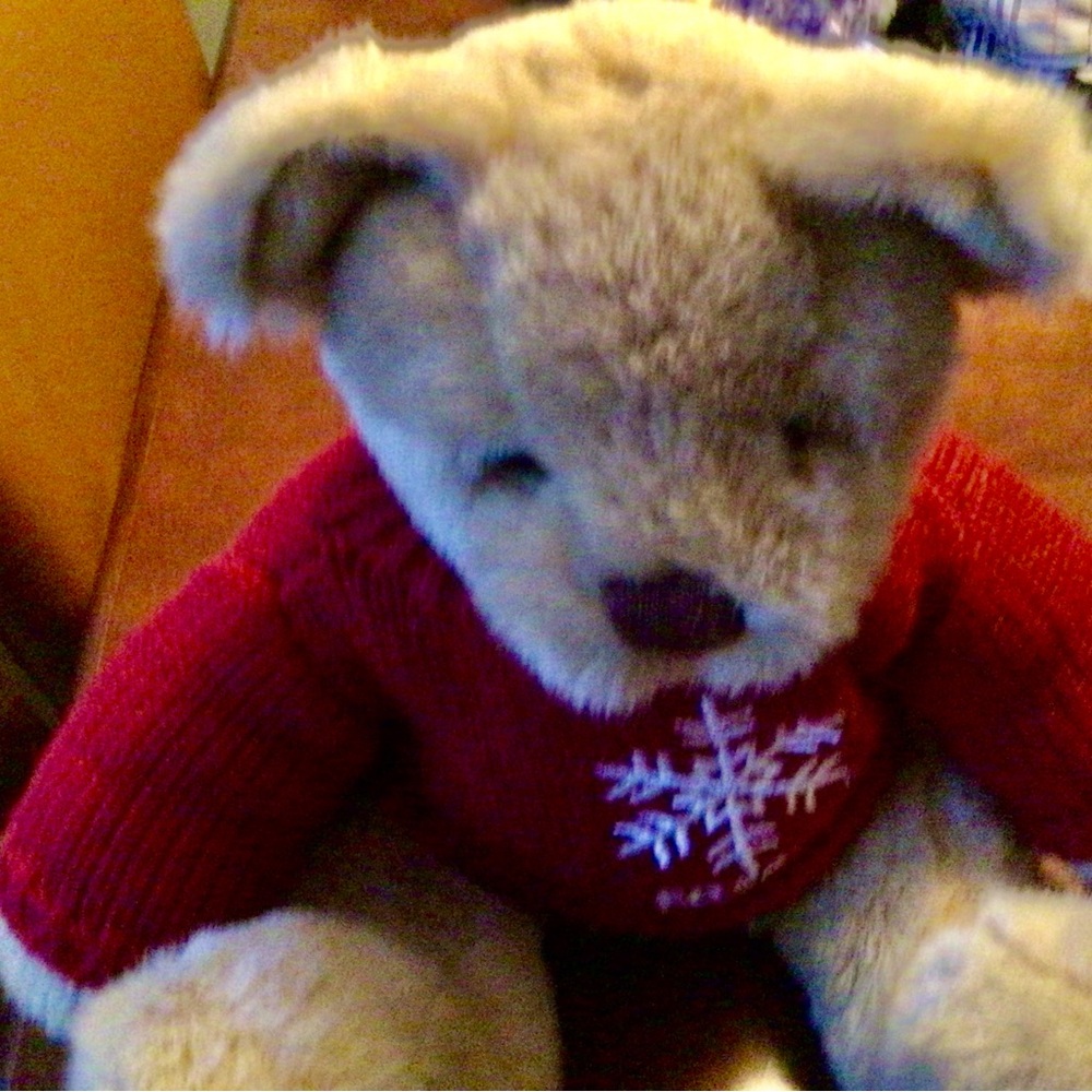 Fossil Plush Teddy Bear with Red Sweater